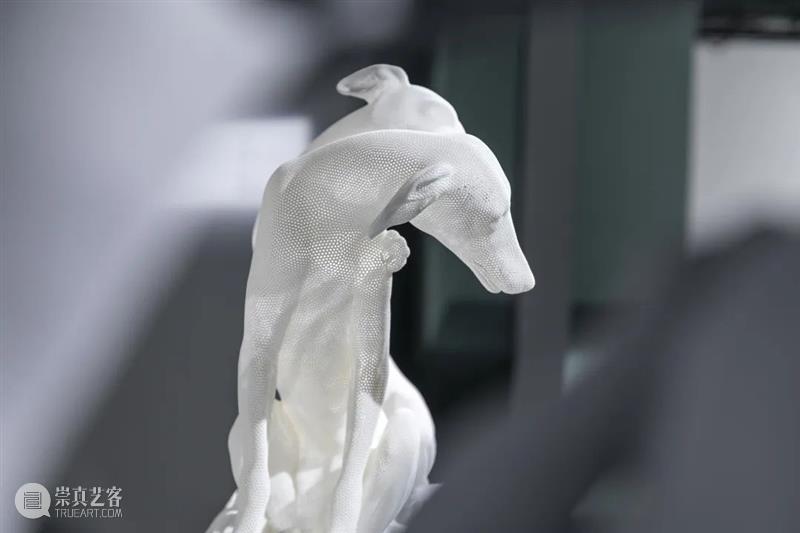 【OCAT上海馆 | 活动回顾】奥利弗·拉瑞克的3D扫描作品（下）  OCAT上海馆 活动 拉瑞克 作品 OCAT 上海馆 奥利弗 奥利弗·拉瑞克 骨骼 马丁 格尔曼 崇真艺客